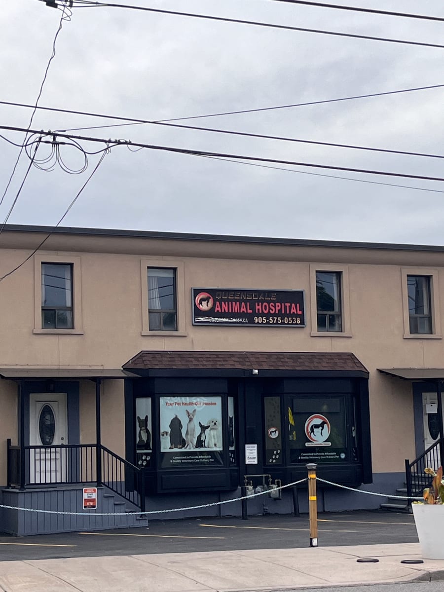 The front of Queensdale Animal Hospital on Upper Wellington Street
