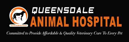 Queensdale Animal Hospital